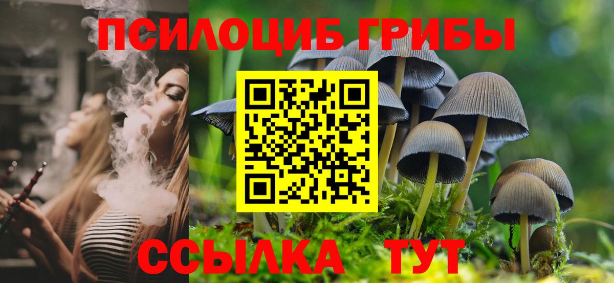 Псилоцибиновые грибы Psilocybe  Вход с VPN  Нижний Тагил 